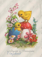PASQUA POLLO UOVO Vintage Cartolina CPSM #PBO691.IT - Pâques