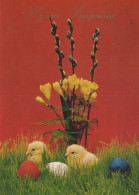 PASQUA POLLO UOVO Vintage Cartolina CPSM #PBO752.IT - Easter