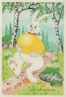 PASQUA CONIGLIO UOVO Vintage Cartolina CPSM #PBO439.IT - Easter