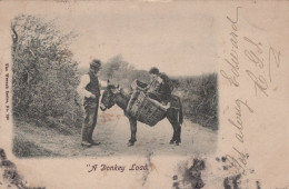 BURRO Animales Niños Vintage Antiguo CPA Tarjeta Postal #PAA006.ES - Donkeys