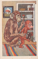 MONO Animales Vintage Tarjeta Postal CPA #PKE886.ES - Scimmie