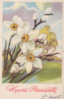 FLORES Vintage Tarjeta Postal CPA #PKE260.ES - Blumen