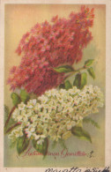 FLEURS Vintage Carte Postale CPA #PKE698.FR - Bloemen