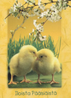 PÂQUES POULET ŒUF Vintage Carte Postale CPSM #PBO689.FR - Easter