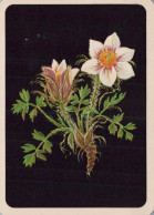 FLEURS Vintage Carte Postale CPSM #PAR514.FR - Flowers