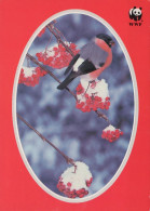OISEAU Animaux Vintage Carte Postale CPSM #PAN073.FR - Oiseaux