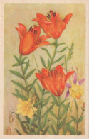 FLOWERS Vintage Ansichtskarte Postkarte CPSMPF #PKG001.DE - Bloemen