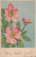 FLOWERS Vintage Ansichtskarte Postkarte CPSMPF #PKD746.DE - Fleurs