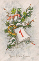 Neujahr Weihnachten PFERDSHOE Vintage Ansichtskarte Postkarte CPSMPF #PKD684.DE - Anno Nuovo