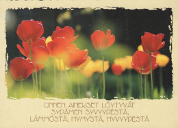 FLOWERS Vintage Ansichtskarte Postkarte CPSM #PBZ765.DE - Fleurs
