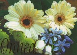 FLOWERS Vintage Ansichtskarte Postkarte CPSM #PBZ403.DE - Blumen