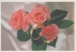 FLOWERS Vintage Ansichtskarte Postkarte CPSM #PBZ283.DE - Flowers