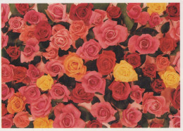 FLOWERS Vintage Ansichtskarte Postkarte CPSM #PBZ223.DE - Blumen