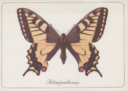 SCHMETTERLINGE Tier Vintage Ansichtskarte Postkarte CPSM #PBS431.DE - Mariposas