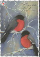 VOGEL Tier Vintage Ansichtskarte Postkarte CPSM #PBR574.DE - Birds