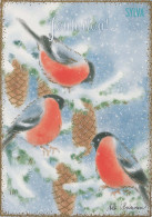 VOGEL Tier Vintage Ansichtskarte Postkarte CPSM #PBR512.DE - Oiseaux