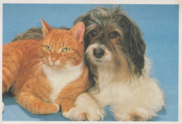 HUND Tier Vintage Ansichtskarte Postkarte CPSM #PBQ672.DE - Hunde