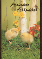 OSTERN HUHN EI Vintage Ansichtskarte Postkarte CPSM #PBO690.DE - Easter