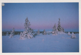 Neujahr Weihnachten Vintage Ansichtskarte Postkarte CPSM #PBN320.DE - Anno Nuovo