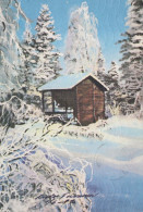 Neujahr Weihnachten Vintage Ansichtskarte Postkarte CPSM #PBN195.DE - Anno Nuovo