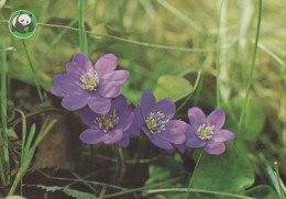 FLOWERS Vintage Ansichtskarte Postkarte CPSM #PAR395.DE - Blumen