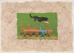 HUND Tier Vintage Ansichtskarte Postkarte CPSM #PAN707.DE - Cani
