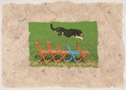 HUND Tier Vintage Ansichtskarte Postkarte CPSM #PAN707.DE - Chiens