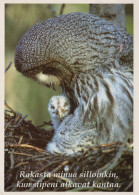 VOGEL Tier Vintage Ansichtskarte Postkarte CPSM #PAN258.DE - Vögel