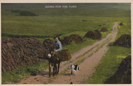 ÂNE Animaux Enfants Vintage Antique CPA Carte Postale #PAA007.FR - Donkeys