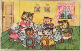 CAT KITTY Animals Vintage Postcard CPA #PKE759.GB - Cats