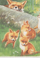 FOX Animals Vintage Postcard CPSM #PBS814.GB - Sonstige & Ohne Zuordnung