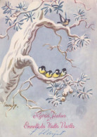 BIRD Animals Vintage Postcard CPSM #PBR509.GB - Pájaros