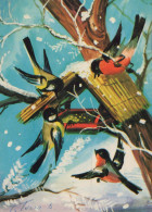 Happy New Year Christmas BIRD Vintage Postcard CPSM #PBM618.GB - Nouvel An