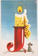 Happy New Year Christmas BIRD Vintage Postcard CPSM #PBM807.GB - Nieuwjaar