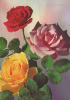 FLOWERS Vintage Postcard CPSM #PAR992.GB - Fiori