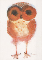 BIRD Animals Vintage Postcard CPSM #PAN255.GB - Uccelli