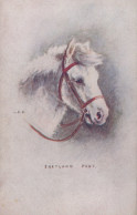 DONKEY Animals Vintage Antique Old CPA Postcard #PAA261.GB - Burros