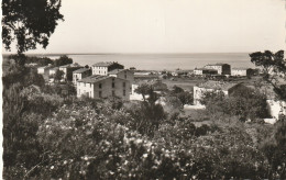 Solenzara 2A (10374) Vue Générale, Cpsm - Ajaccio