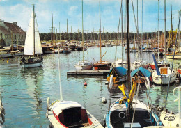 14 - Courseulles Sur Mer - Le Bassin Des Yachts - Courseulles-sur-Mer