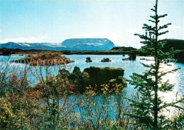 73577679 Island Myvatnsee Landschaftspanorama Island - IJsland