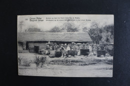 S-C 184 / Congo - Kinshasa (ex Zaire) - Congo Belge  -  Huilerie Au Bord Du Fleuve Dans L'île De Mataba   / 1913 - Congo Belge