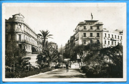 CPSM Algérie - ORAN Le Boulevard Clémenceau Vu Des Jardins Du Cercle Militaire - Ecrite En 1936 - Oran