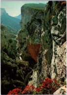 GORGES Du VERDON. -  La Baume Aux Pigeons.    -   Non Circulée - Otros & Sin Clasificación