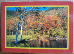 IMAGES DU QUEBEC PAYSAGE D'AUTOMNE GRAND FORMAT - Zonder Classificatie