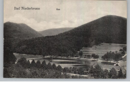 F 67110 BAD NIEDERBRONN / NIEDERBRONN LES BAINS, See - Niederbronn Les Bains