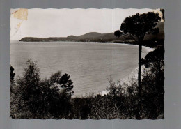 Cavalaire Sur Mer Vue Générale De La Baie - Cavalaire-sur-Mer