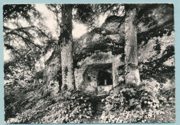 LANGRES - La Grotte De Sabinus. Source De La Marne - Langres