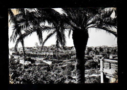 Vence Vue Panoramique - Vence