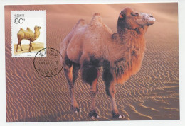 Maximum Card China 2001 Bactrian Camel  - Other & Unclassified