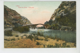 ASIE - LIBAN - LEBANON - BEYROUTH - Fleuve Du Chien - Vieux Pont - Libanon